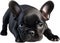 Picture of an adorable French bulldog. AI-Generated.