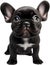 Picture of an adorable French bulldog. AI-Generated.