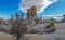 Picture of Arch Rock area in the Yoshua Tree National Park with cactus trees in California during the day