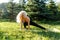Picture of athlete blonde exercising on rug