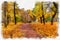 A picture of the autumn park in aquarelle style