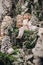 picture of beauatiful little girl rejoices of a christmas decoration with trees and a little white rabbit