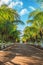 Picture of beautiful tropical alley of coconut trees.