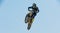 A picture of a biker making a stunt and jumps in the air