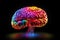 Picture of Brain neurogenesis hippocampus, prefrontal cortex intelligenceb