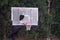 Picture of a broken basket backboard due to low quality