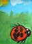 picture of the child the insect ladybug in the grass