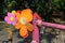 Picture of colorful fantasy foam flowers for Loi Krathong festival