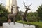 A picture of Deer Statues with selective