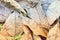 Picture of dry leaves on a stack of rubber leaves