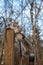 A picture of a eastern grey Squirrel standing on the stud.