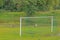 Picture of a flooded soccer field after heavy rain with patrolling storks looking for food