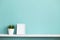 Picture frame mockup. White shelf against pastel turquoise wall with potted snake plant