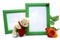 Picture frames with rose and plush bear