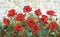 Picture - `Garden poppies`. Painting - oil, canvas.