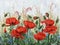 Picture - `Garden poppies`. Painting - oil, canvas