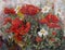 Picture - `Garden poppies`. Painting - oil, canvas