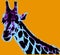 Picture with giraffe over orange background