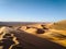 A picture of the golden sand dunes in the Algerian desert