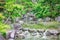 Picture of green, calming, refreshing lake with stone rock formation and trees located as one travel tourism destination in Osaka