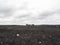 Picture of Icelandic black beach and airplane wreck.