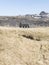 Picture of Icelandic black church.