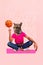 Picture image collage artwork of weird unusual creature animal face sitting hold ball training playing game isolated on