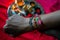 Picture of Indian brother sister festival of tie bracelets