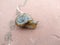 A picture of land snail with blur background ,