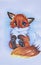 picture with little red-haired cute fox with a bushy tail. Hobby. Drawing or sketching with markers. Top view. Flat lay.