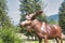 A picture of a male moose statue.ã€€Wells Gray BC Canada