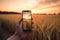 Picture of man\\\'s hand holding smartphone with beautiful picture on screen. Golden wheat at Sunset. Generative Ai