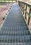 Picture with metal stairs in a pine forest, pedestrian walk