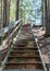 Picture with metal stairs in a pine forest, pedestrian walk