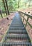 Picture with metal stairs in a pine forest, pedestrian walk