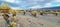 Picture over the cactus field of the Cholla Cactus garden in the Jushua Tree national park in california