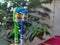 Picture of pair of green and blue tooth brush under open sky with tree in background