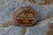 Picture of a pie painted on a small rock