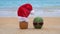 Picture of pineapple wearing Santa Claus hat and green cheerful watermelon in sunglasses on the tropical beach. New Year and Chris