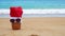 Picture of pineapple wearing sunglass and Santa Claus hat on the tropical beach. New Year and Christmas concept. Happy New Year pi