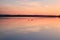 Picture of pink sunset with two loons on the water