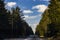 Picture of a road with trees and blue sky with clouds.