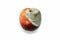 A picture of a rotten nectarine.