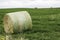 Picture of round rolled hale bales in a field