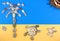 Picture of seashells, tropical beach, palm tree, turtles, sun