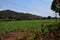 Picture of small shelter in the middle of agricultural field for farmer