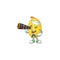 Picture of Smiling happy Sailor spaghetti squash with binocular