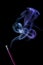 The picture of a smoking incense, isolated on black background. Blue smoke.