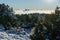 Picture of snowy mountain slope, trees, cloudy sky