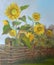 Picture Sunflowers behind a Wattle Fence. Canvas, oil